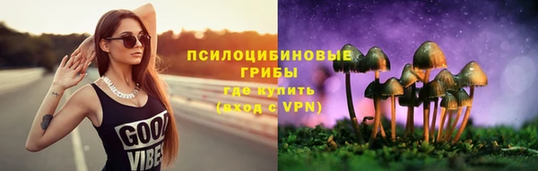 крисы Богородицк