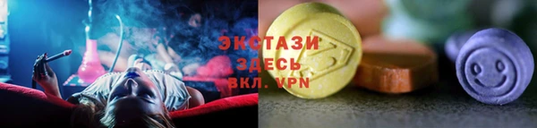 крисы Богородицк