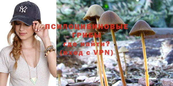 кокаин перу Богданович