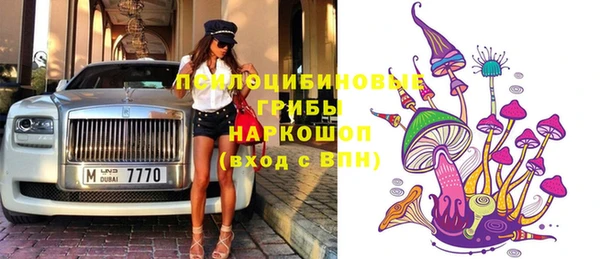 крисы Богородицк