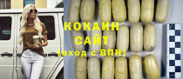крисы Богородицк